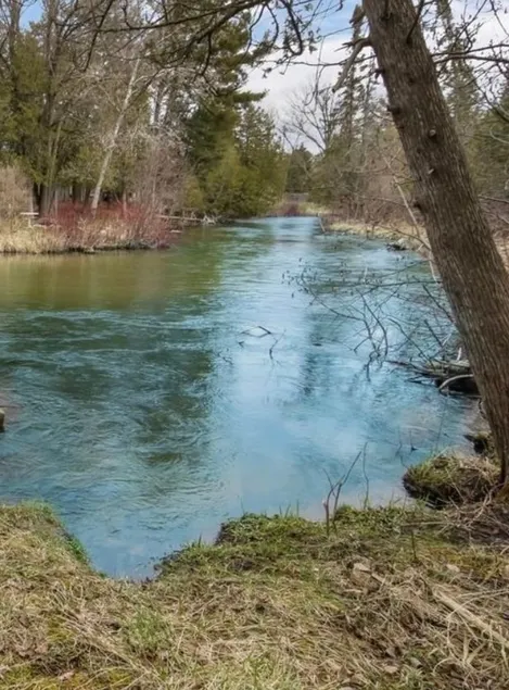 Cheerful three bedroom on beautiful Platte River - Image 1