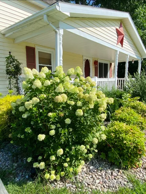 Star House, Cozy 4 full bed retreat. - Image 1