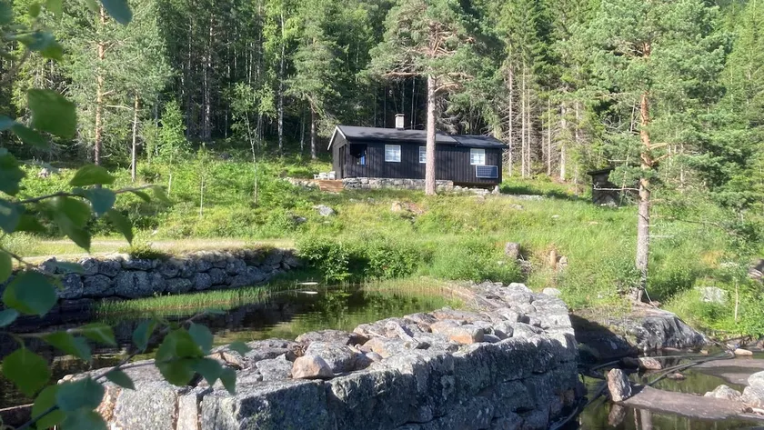 Cozy cabin by the fishing lake - Image 1