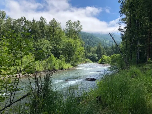 Serene Sandy River Retreat - Image 1