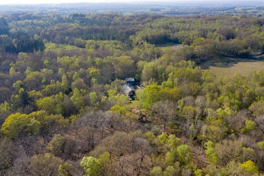1 bedroom detached loft in woodland nature reserve - Image 1
