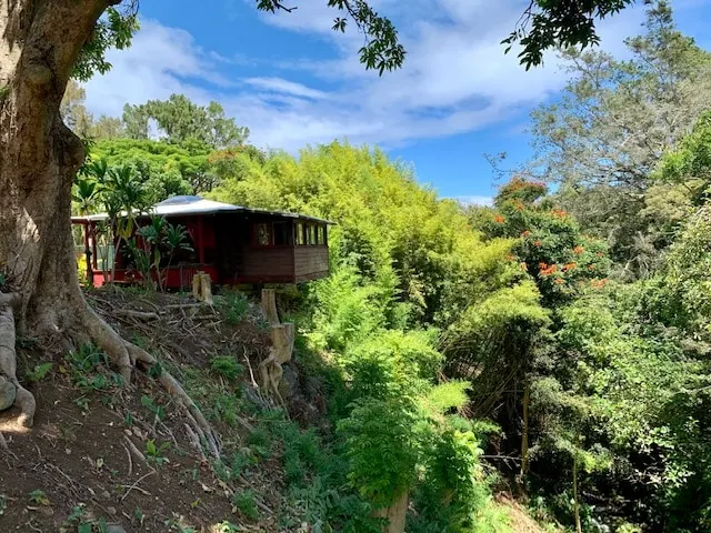 Romantic waterfall cabin in the rain forest - Image 1