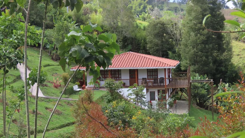 Pecunia - private cabin surrounded by nature - Image 1