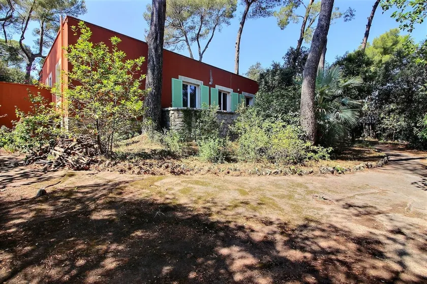 Quiet house with large wooded garden - Image 1