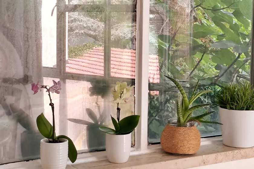 Cosy loft with a lovely view - Image 1