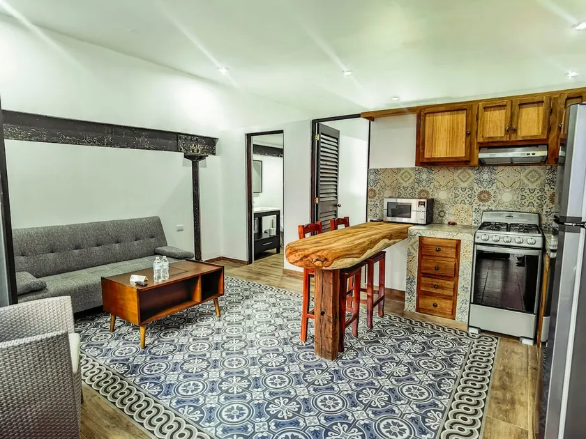 1 Bedroom Apartment, Sofa, Historic Center - Image 1