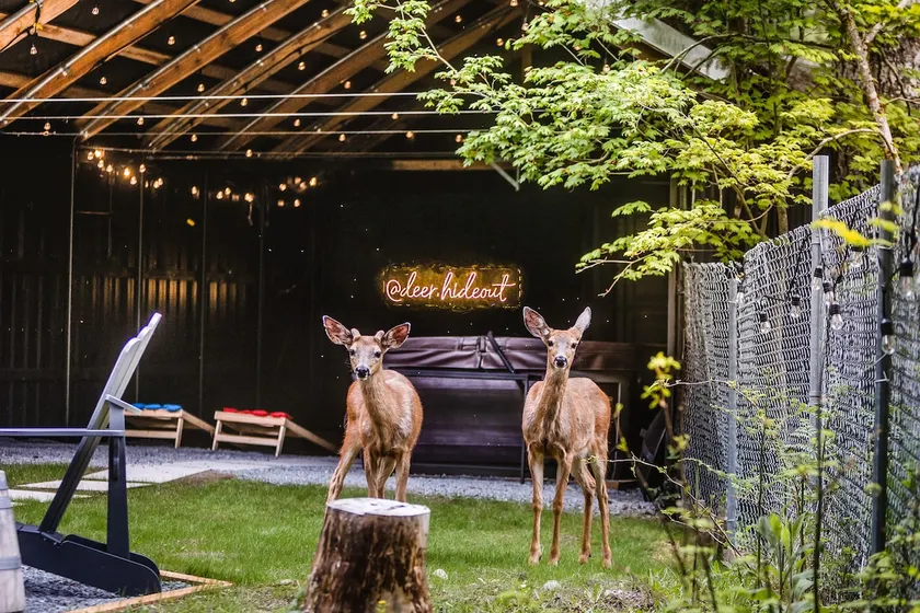 Deer Hideout - King bed/HS WiFi/Hot Tub/Fire Pit - Image 1