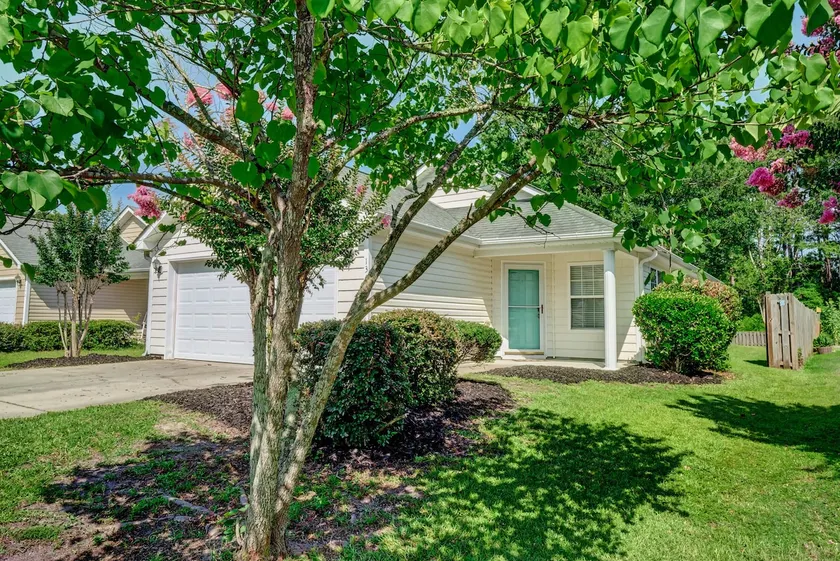 Cozy family home in Hampstead - Image 1