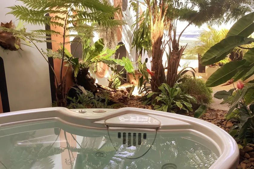 Jungle Spa apartment with private jacuzzi and sea view - Image 1