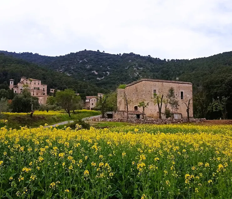 Segueró Castle - Image 1