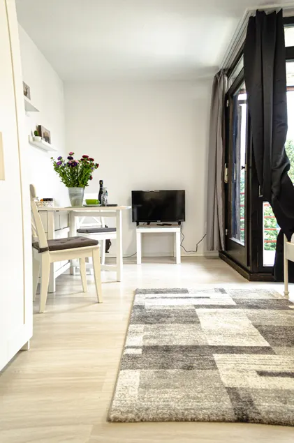 Small one-room apartment - Image 1
