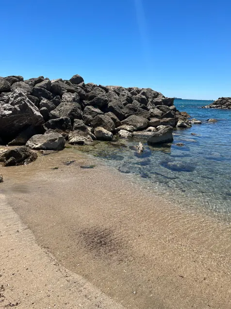 First row apartment, beach access from garden - Image 1