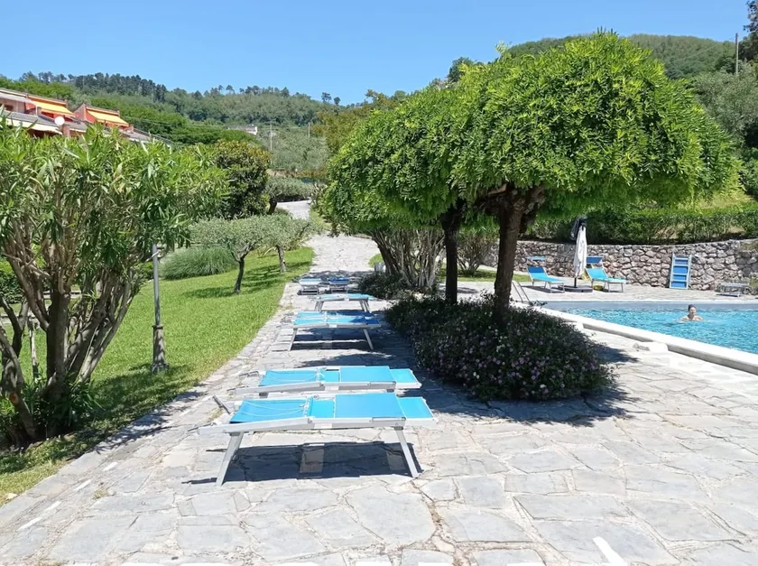 House of Olives - Image 1