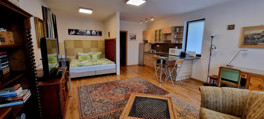 Quiet private apartment at Buda side - Image 1