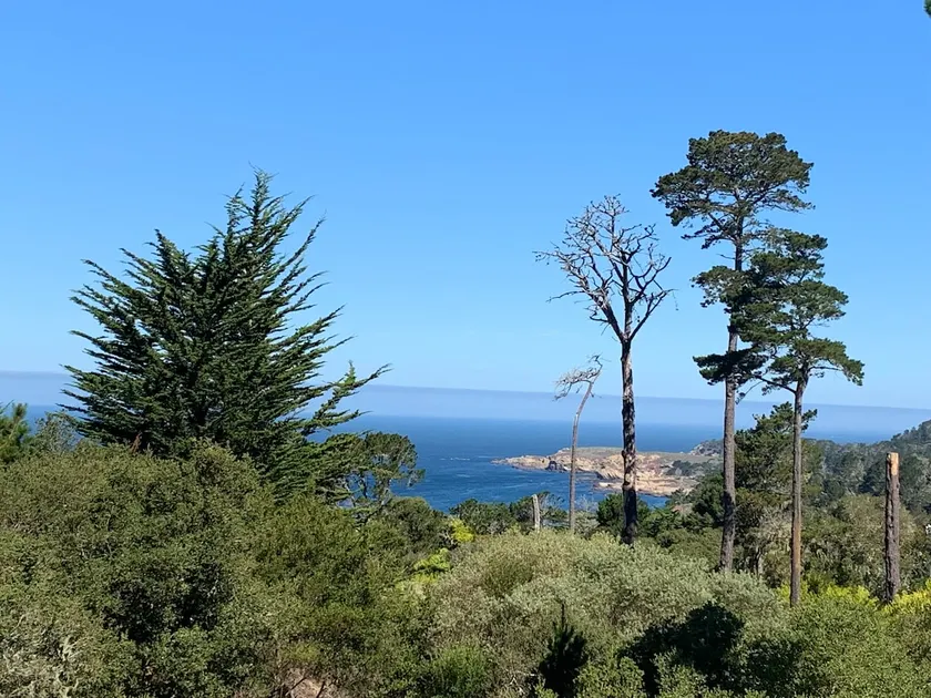 Dog Friendly Carmel sleeps 5 next Brad Pitt - Image 1