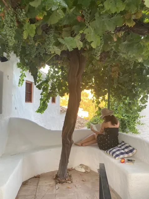 Andalusian house with views: Alegrías - Image 1