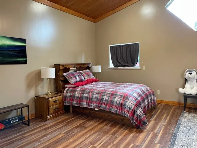 Denali Homestead's Cozy Cabin 1 - Image 1