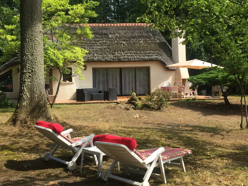 Cottage in a green area - Image 1