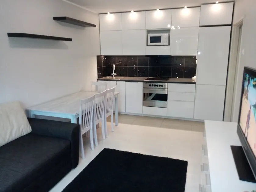 Cozy apartment near the Tallinn - Image 1