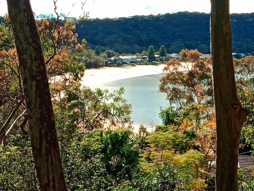 Corymbia - unique blend of beach and native bush. - Image 1