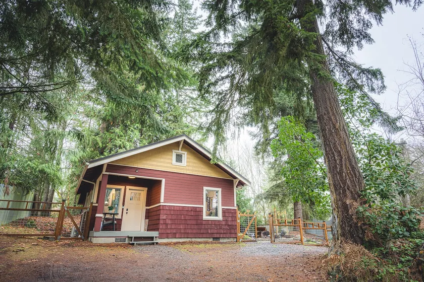 Cozy cabin on the Olympic Peninsula, W/ Hot Tub - Image 1