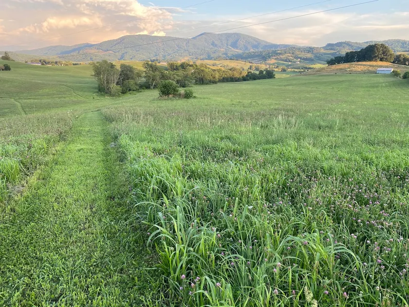 Middleside Farmhouse And Meadows, No Pet Fees - Image 1