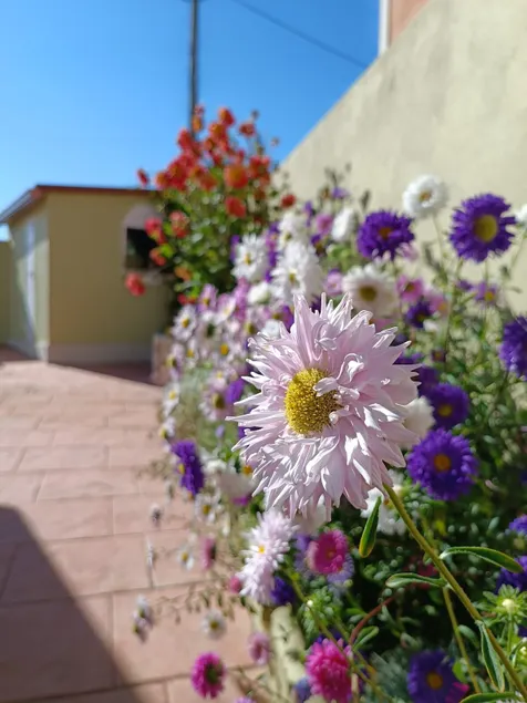 A beautiful little house 10 minutes from the beach. - Image 1