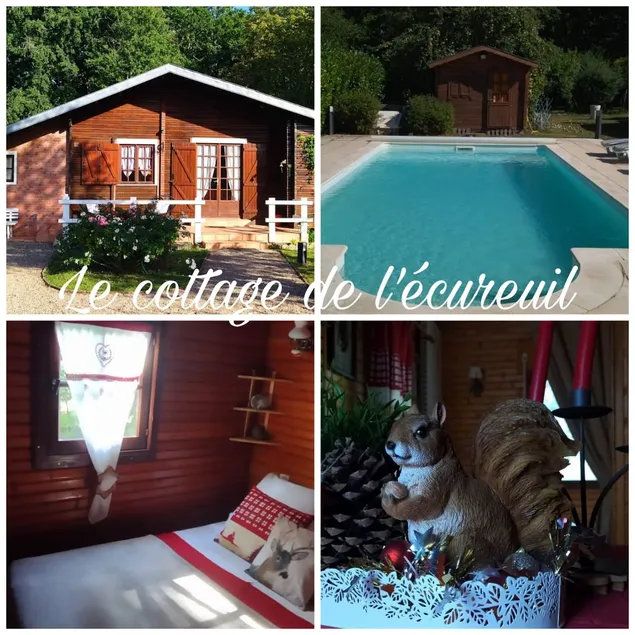 The air-conditioned Squirrel Cottage and its pool - Image 1