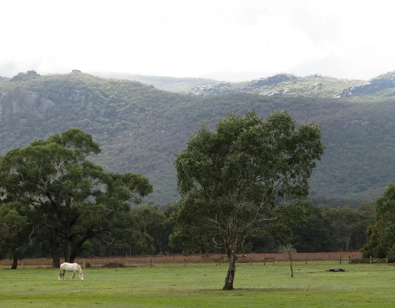 Beautiful Grampians views, comfort, space & peace - Image 1