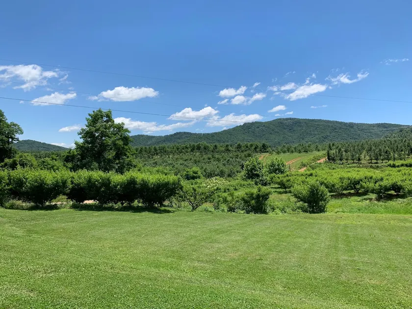 Perfect getaway among the orchards of Batesville - Image 1