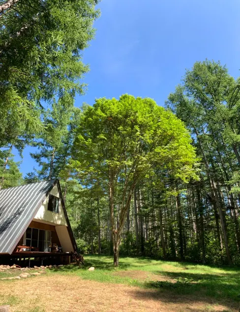 [Limited to one group per day] Private cottage surrounded by nature in Sugadaira Kogen. Close to Sania Park. - Image 1