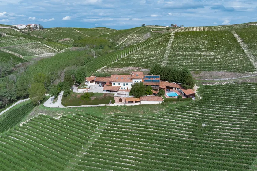 Tenuta Cà dei Mandorli - Image 1