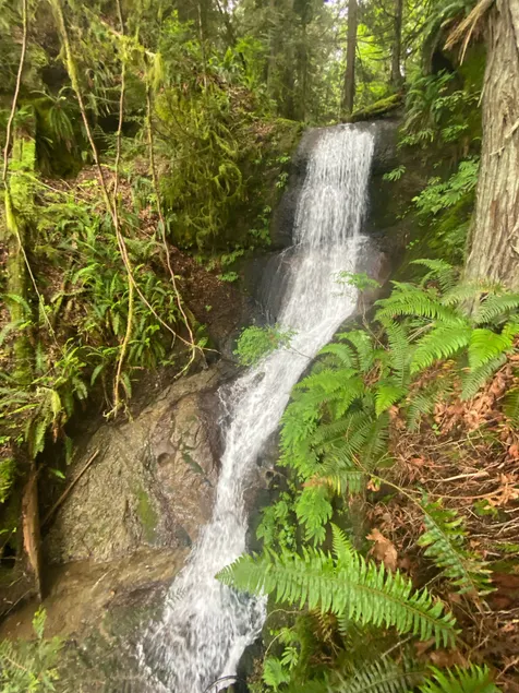Forested Getaway - Hot Tub, Hike, Bike and Lake - Image 1
