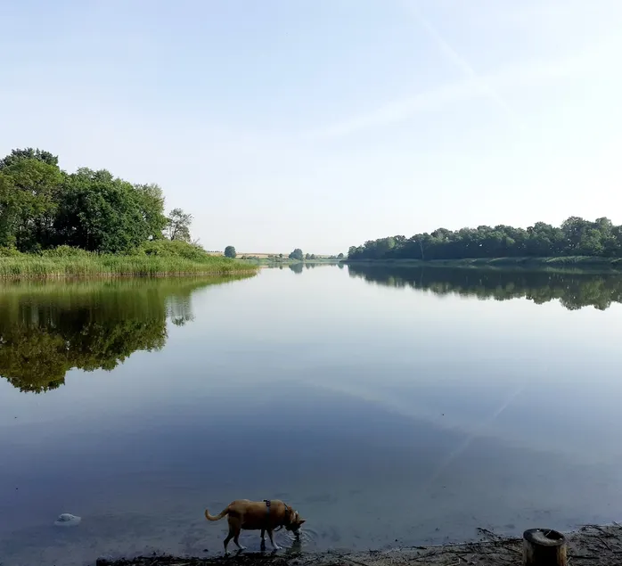 Lake House Lebehn - Image 1