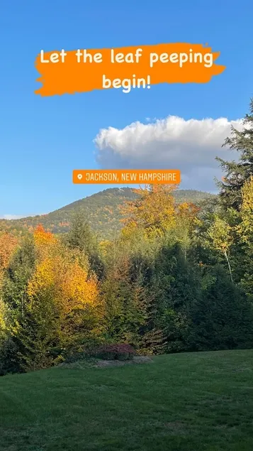 Nordic Village -Fall foliage and ski season! - Image 1