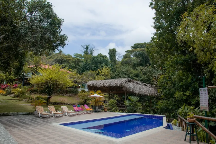 Linda Cabaña, Terrace, 10 minutes to the sea. Forest. - Image 1