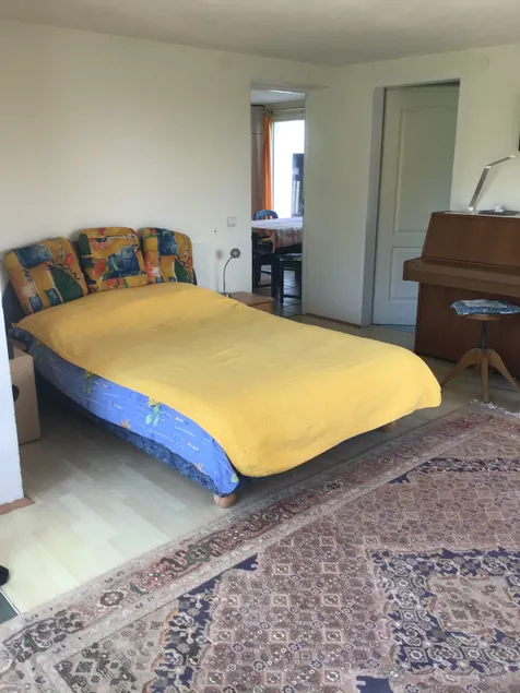 Apartment peace and quiet near Gleisdorf - Image 1