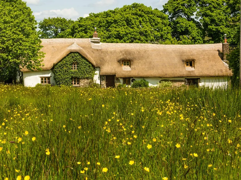 Hay Meadow Farm, Cosy Thatched Holiday Cottage - Image 1