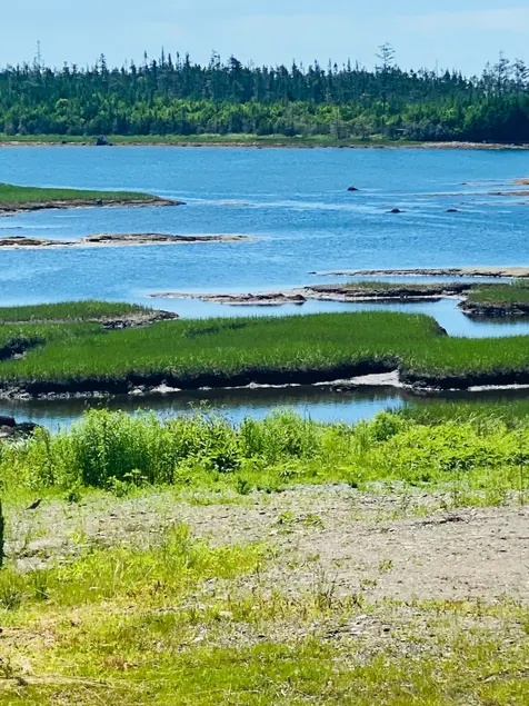 Coastal Life Harrigan cove - Image 1