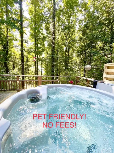 Classic Plush Cabin, Hot Tub, View, Discount, Pets - Image 1