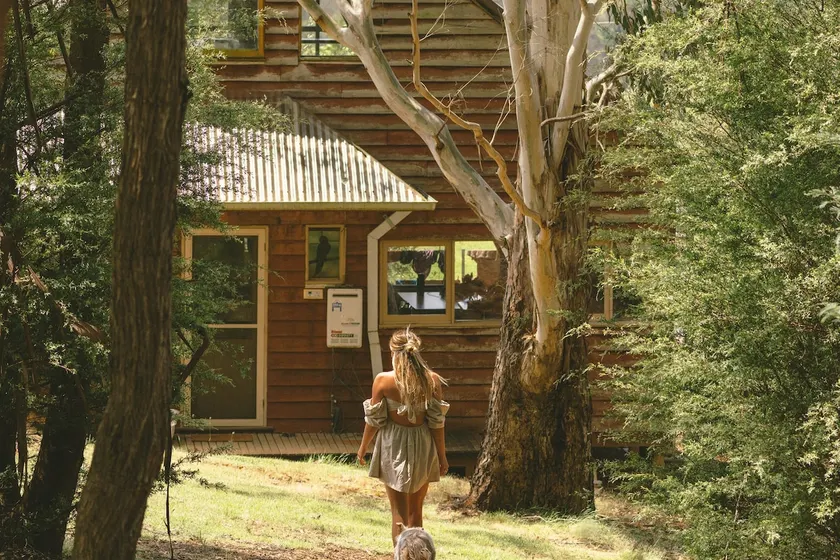 Little Olive Cabin - Image 1