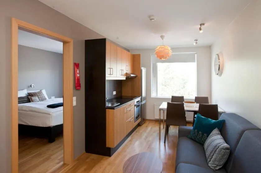 One-Bedroom Apartment with Sofa-bed *Square View* - Image 1
