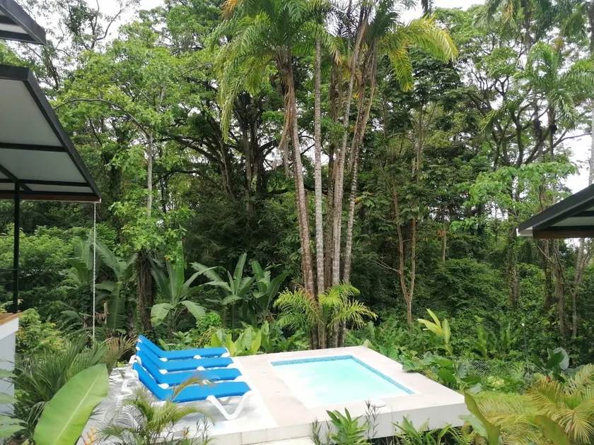 Quinta Guarumo #02 - Image 1