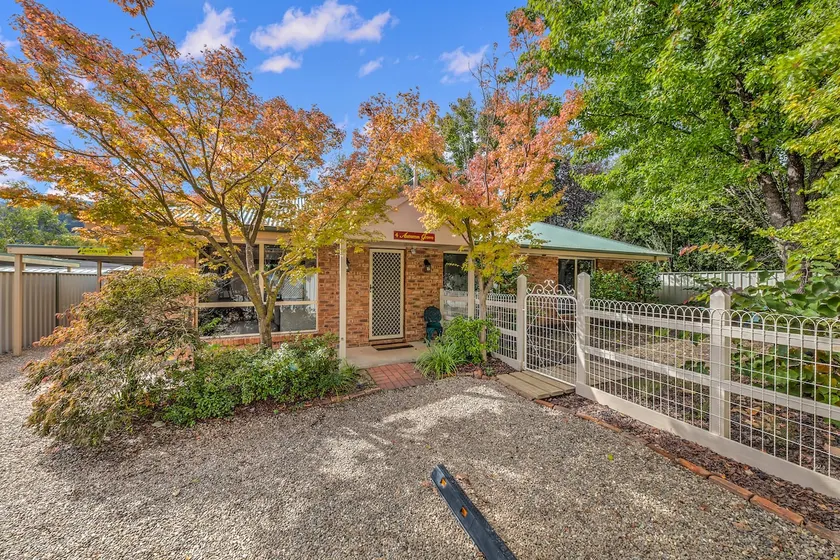Autumn Grove 4 - Image 1