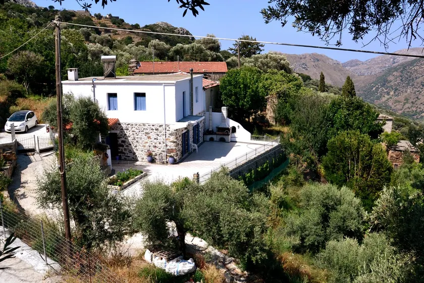 Polios - Image 1