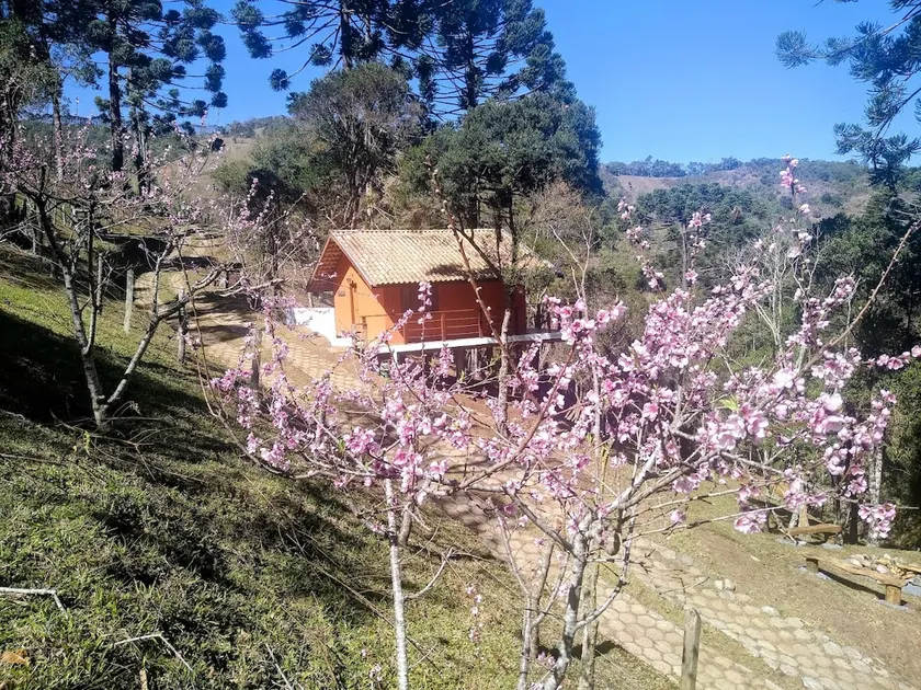 Chalet in the woods - (Gonçalves Region) - Image 1