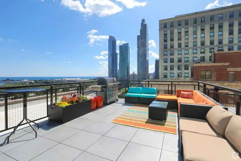 Downtown Park - Mich Ave PH gym plus rooftop #11 - Image 1