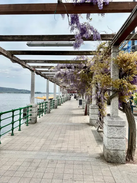 CHARMING APARTMENT ON LAKE ARONA - Image 1