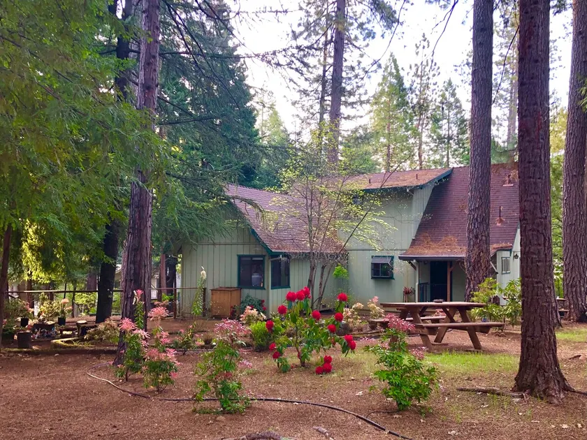 Groovy Cabin in the Woods - Image 1