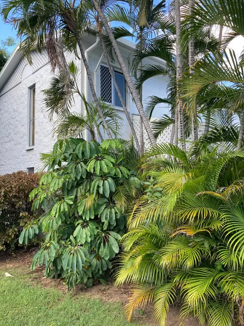 Resortside 2 bedroom unit, wifi, Netflix & pool - Image 1